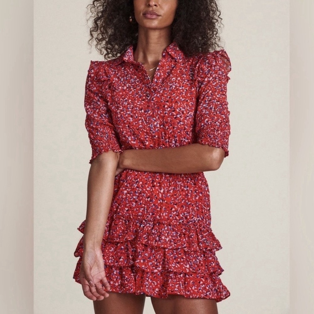 The Shirt Rochelle Behrens The Ruffle Tiered Mini Dress Red Leopard Size Small